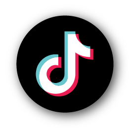 TikTok Icon